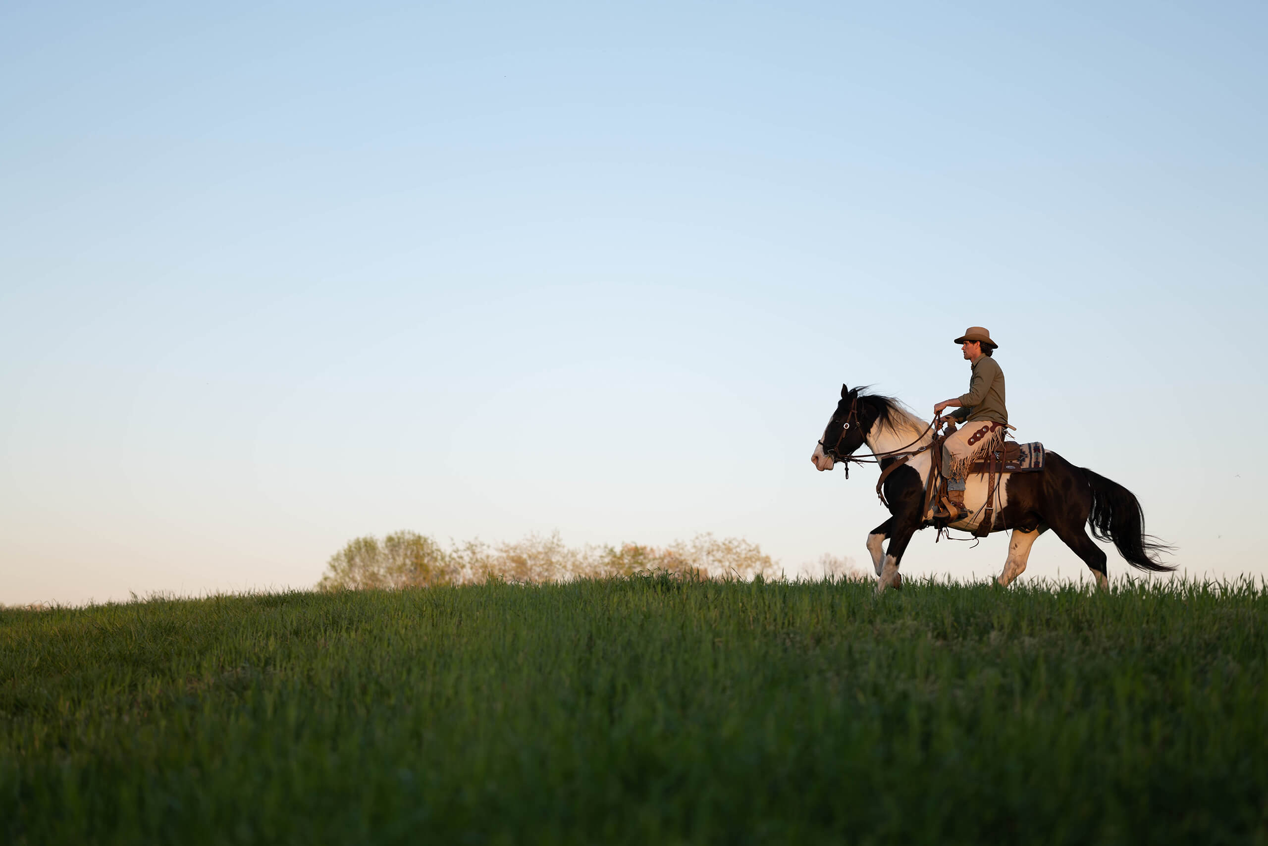 Equine Therapy Workshops | Emotional Wellness | Onsite Workshops