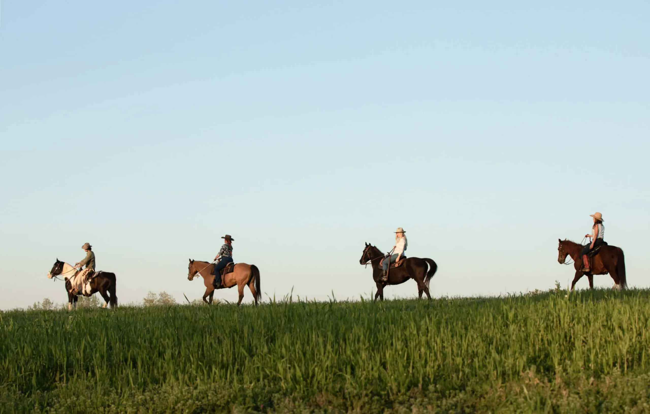 Group riding horses